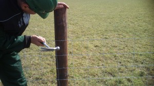 Repair and maintanence - FRS Fencing