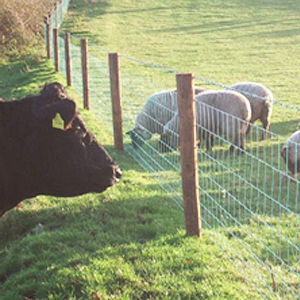 Agricultural & Equestrian Fencing