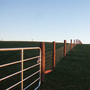 Sheep Wire Fencing
