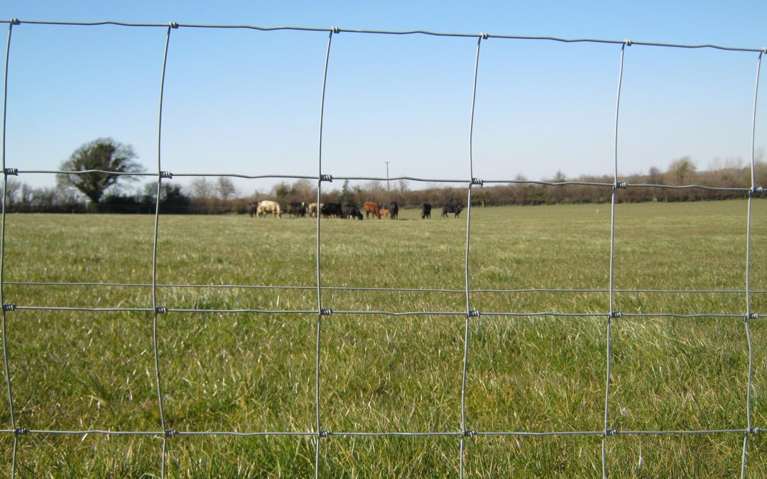 TAMS 3 Grant Aid Available for FRS Fencing Products