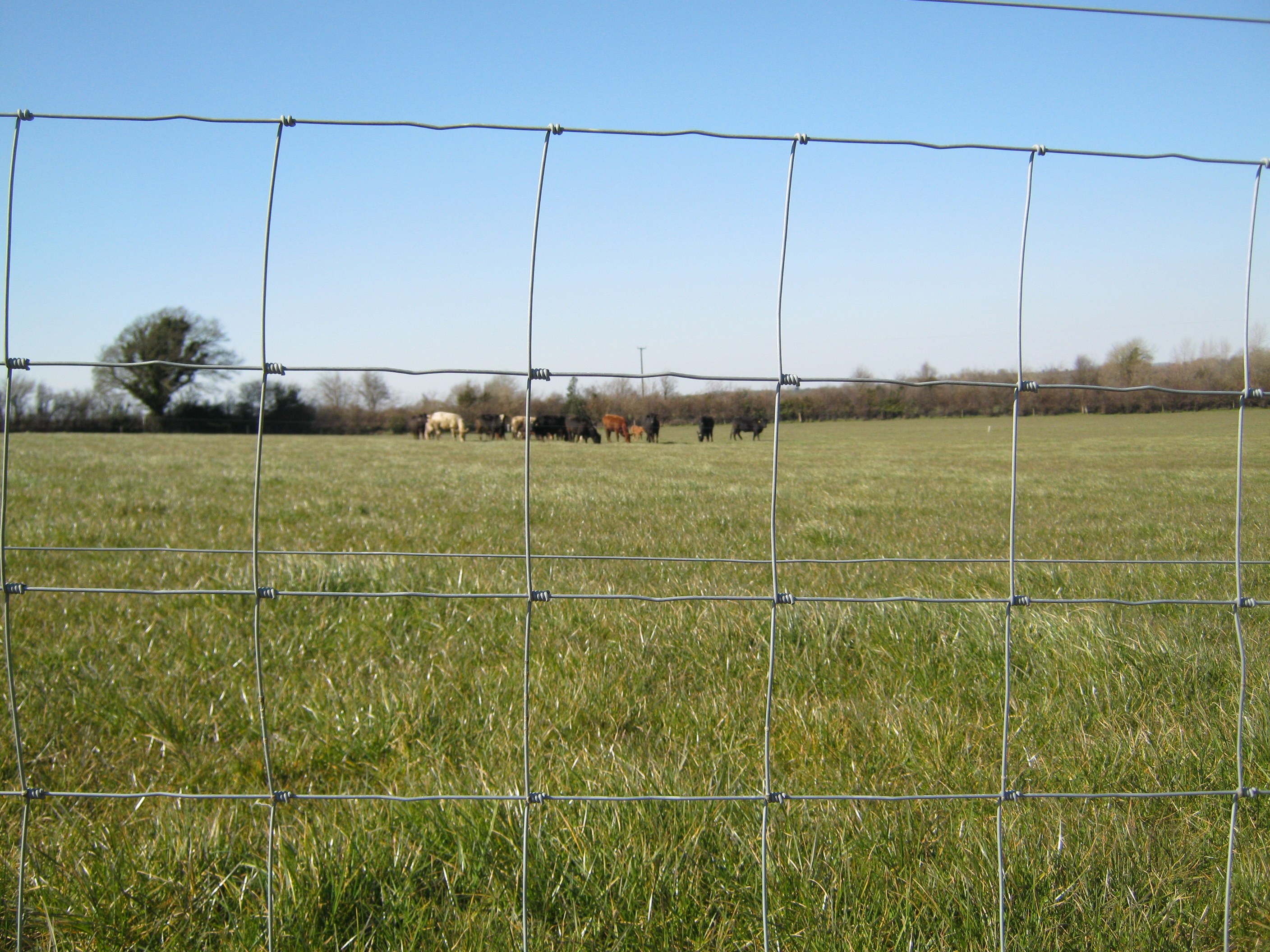 TAMS 3 Grant Aid Available for FRS Fencing Products FRS Fencing