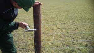 Fencing Repair & Maintenance