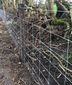 Sheep wire fencing