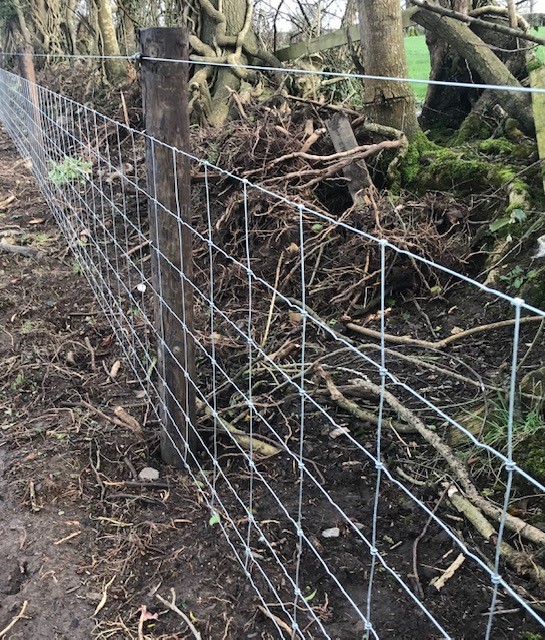 Sheep wire 1 - FRS Fencing