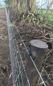 Sheepwire electric fence