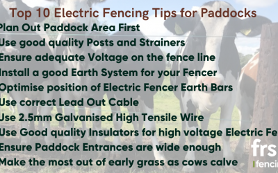 Top 10 Electric Fencing Tips for Paddock Fencing