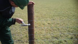 fencing-diy-repair