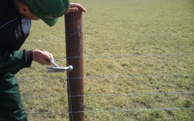 Farmers Encouraged To Stock Up On Fencing Essentials