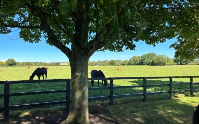 Maintaining and Upgrading Your Farm After Autumn Sales