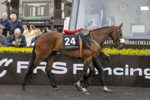 FRS Fencing Handicap Hurdle