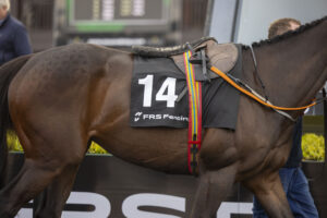 FRS Fencing Handicap Hurdle