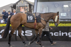 FRS Fencing Handicap Hurdle