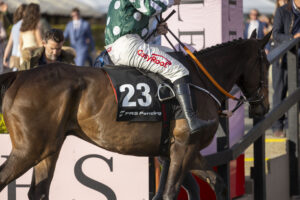 FRS Fencing Handicap Hurdle