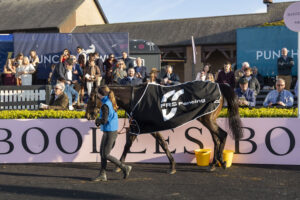 Winning horse Avalo at Punchestown 2026