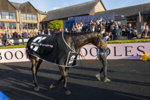 Winner of the FRS Fencing Punchestown